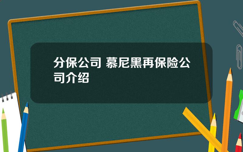 分保公司 慕尼黑再保险公司介绍